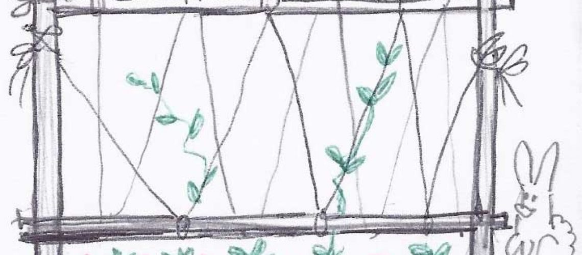 garden-trellis garden-trellis