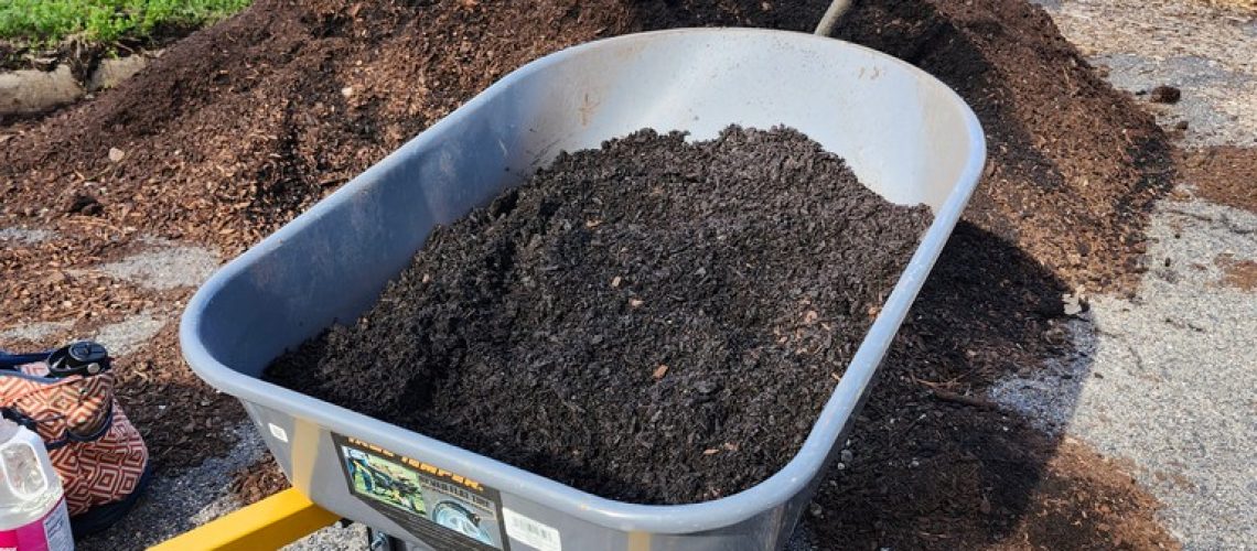 mushroom-compost